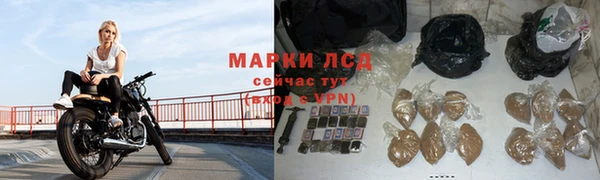 дурь Заводоуковск