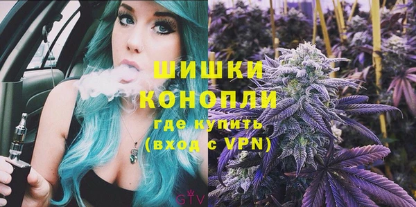 дурь Заводоуковск