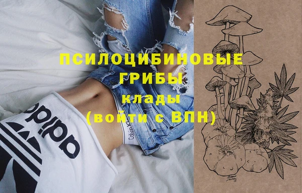 дурь Заводоуковск
