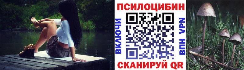 Купить  Жуков  Псилоцибиновые грибы прущие грибы 